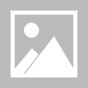 九传媒入口网页版（i9i传媒app）